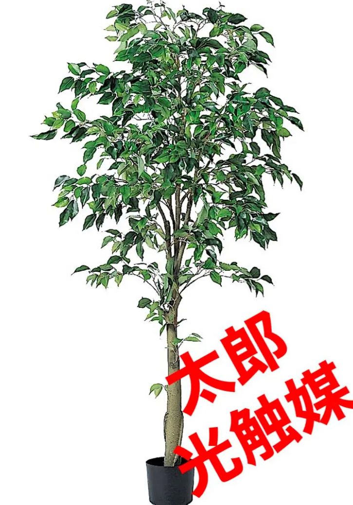 光触媒 人工観葉植物 ウォールグリーン フェイクグリーン