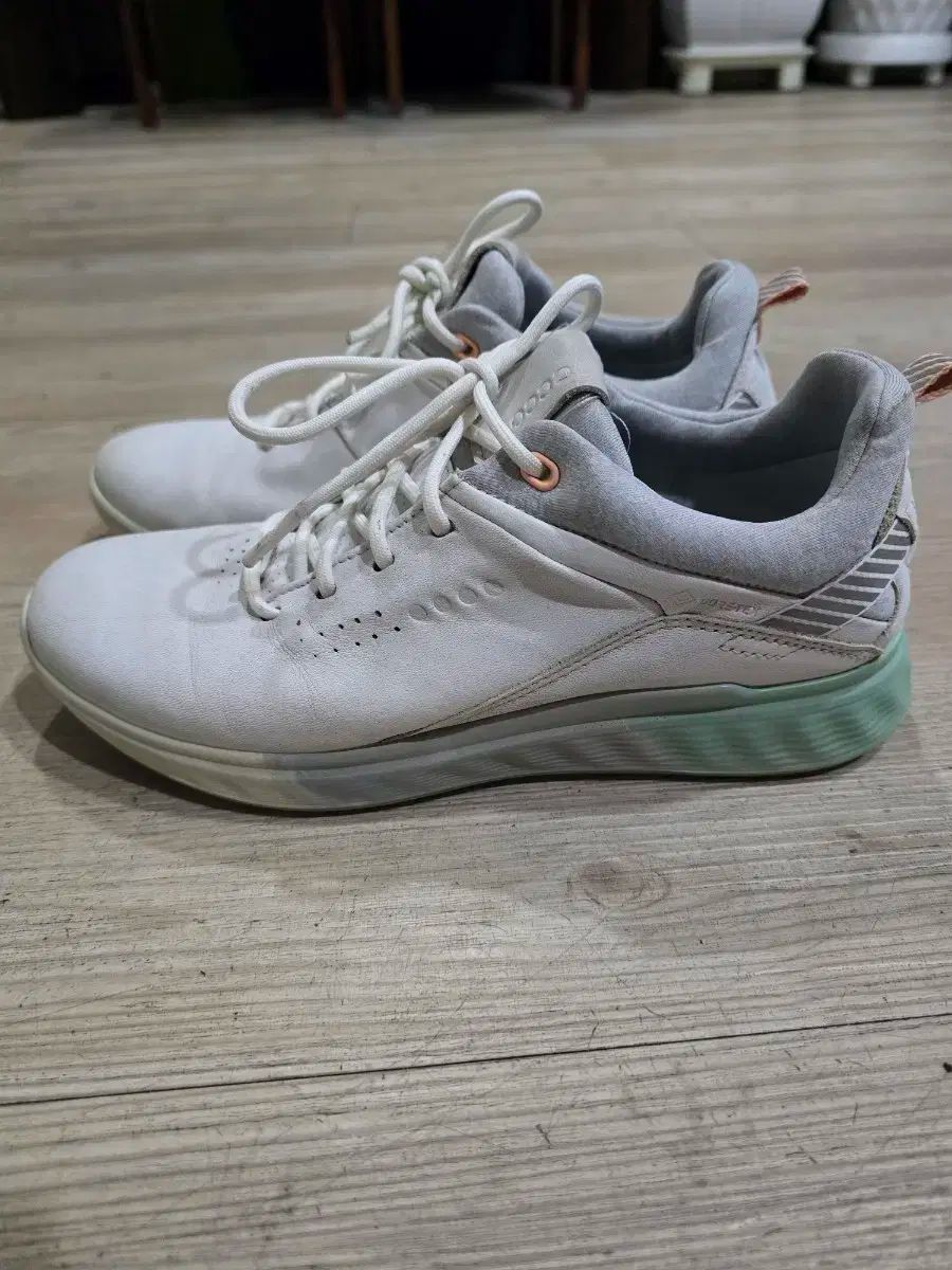 エコーゴルフシューズ 36 256番 超美品 ECCO ゴルフシューズ 36 23.0cm