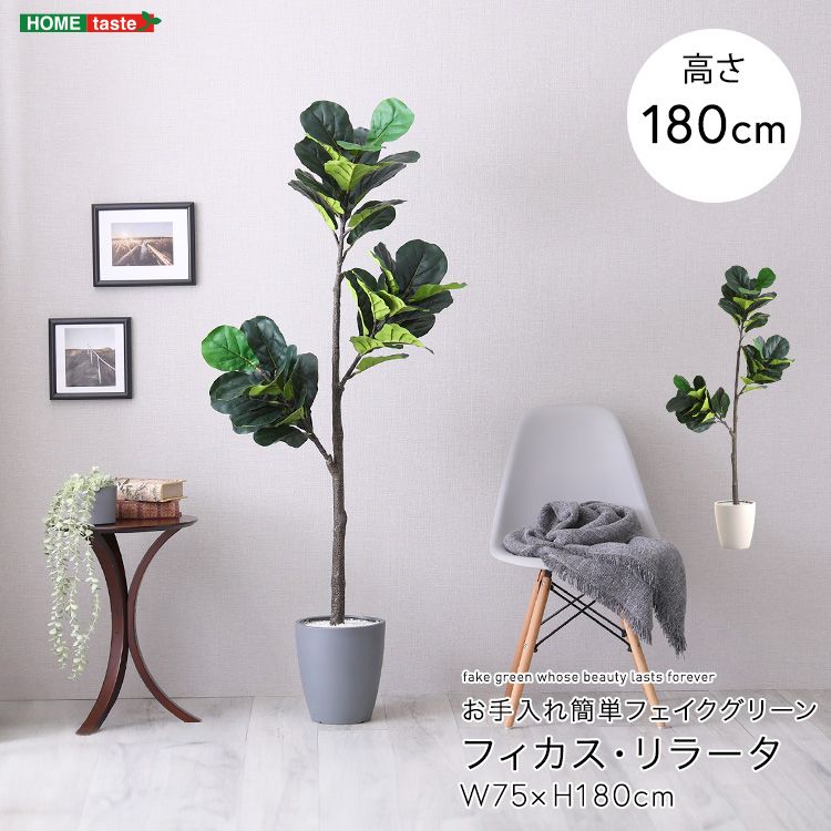 お手入れ簡単フェイクグリーン フィカス リラータ Lサイズ 2801