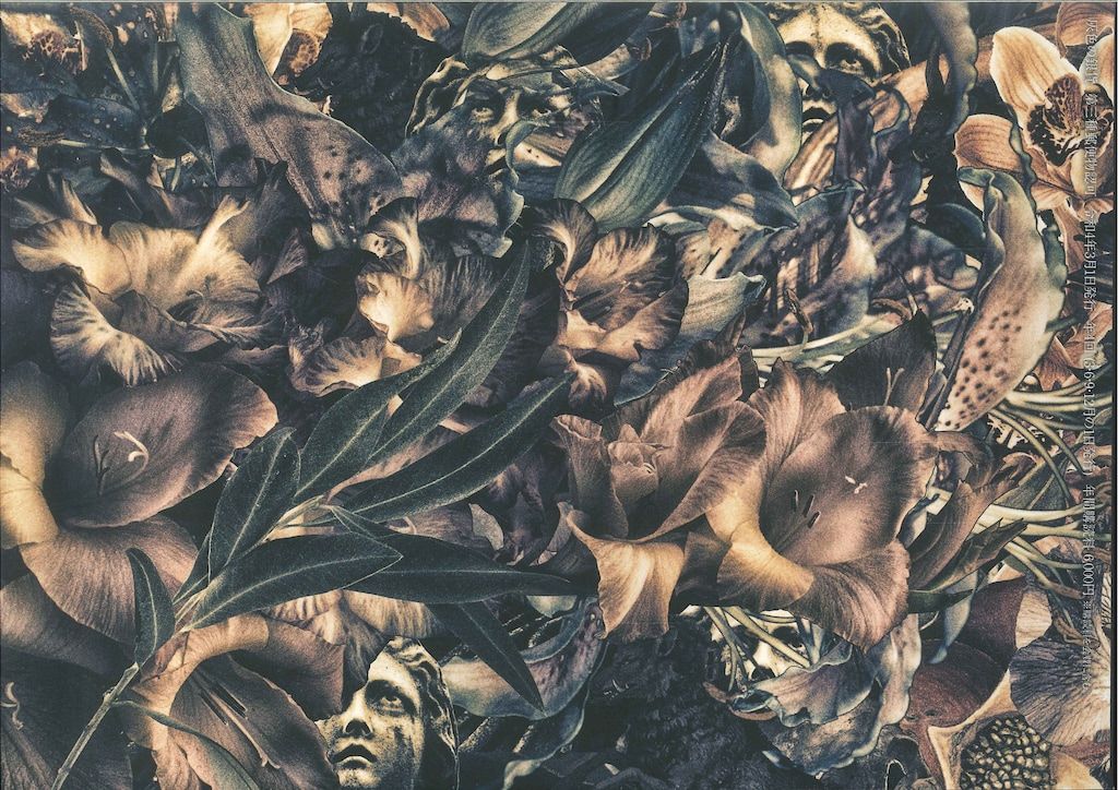 【貴重】Dir en grey FC会報『灰色の銀貨』 vol.0～55 貴重】Dir en grey FC会報『灰色の銀貨』 vol.0～55（Yahoo
