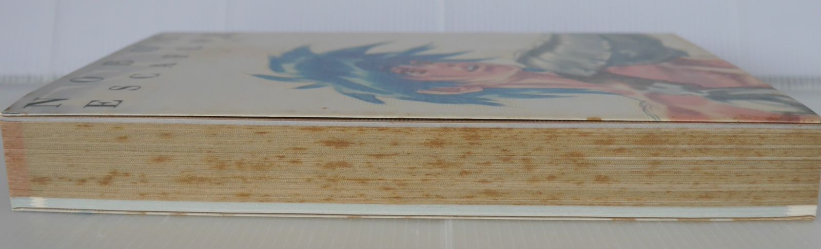 エスカフローネ ファンブック 高い城の男 結城信輝 天空の