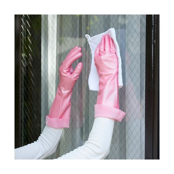 〔まとめ〕 ショーワグローブ