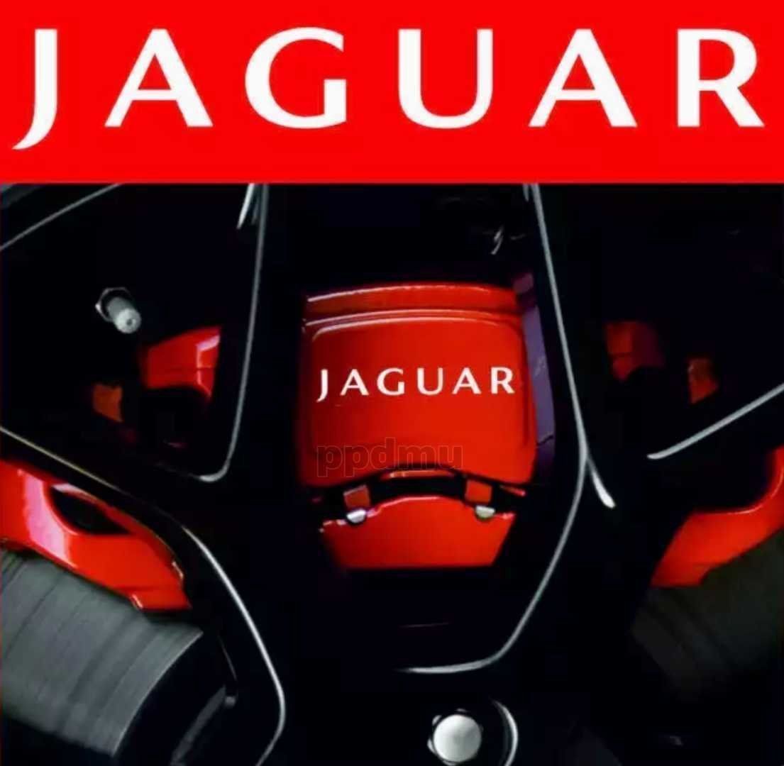 JAGUAR 耐熱デカール ステッカー  ドレスアップ ブレーキキャリパー / カバー カスタム ジャガー XE XF XJ XK E/F/I X/S/F エンブレム