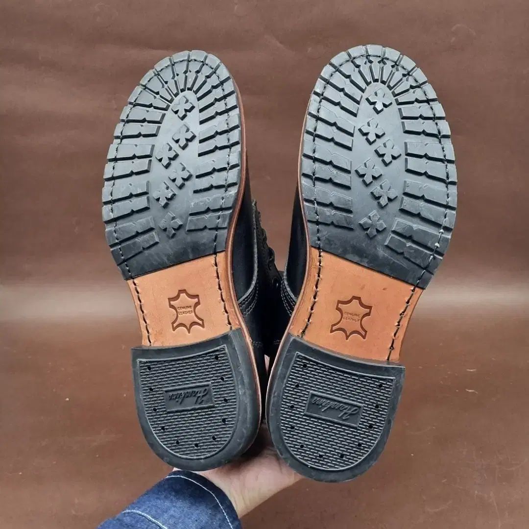 6 インチ