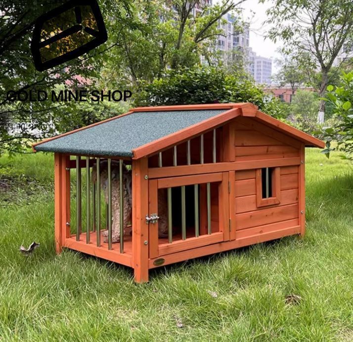 中型犬