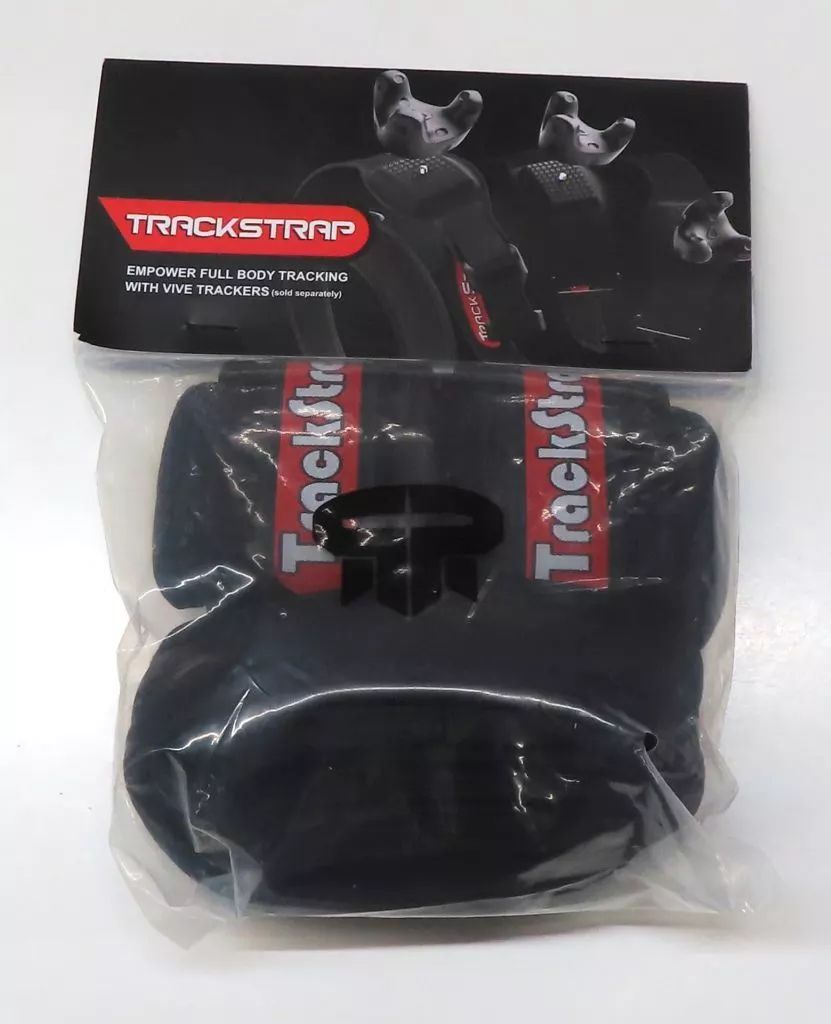 心奪われる鮮烈さ☆オールドバカラ ロザース 26㎝カラフェ 金彩 ブルー