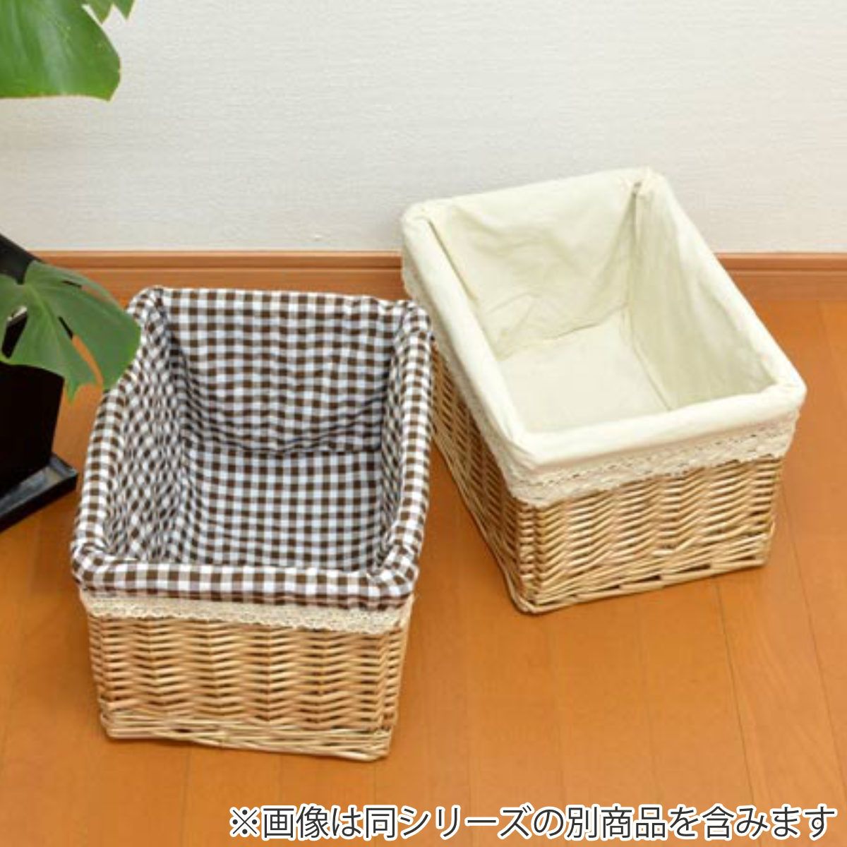 コアマン セットアッパー ショアジギング コアマン セットアッパー