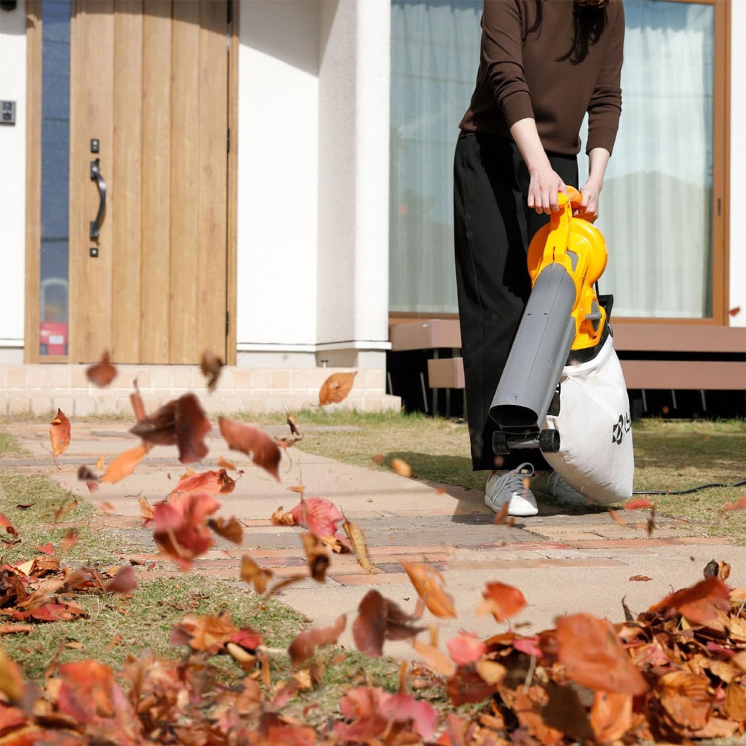 吹き寄せ 吸い込み