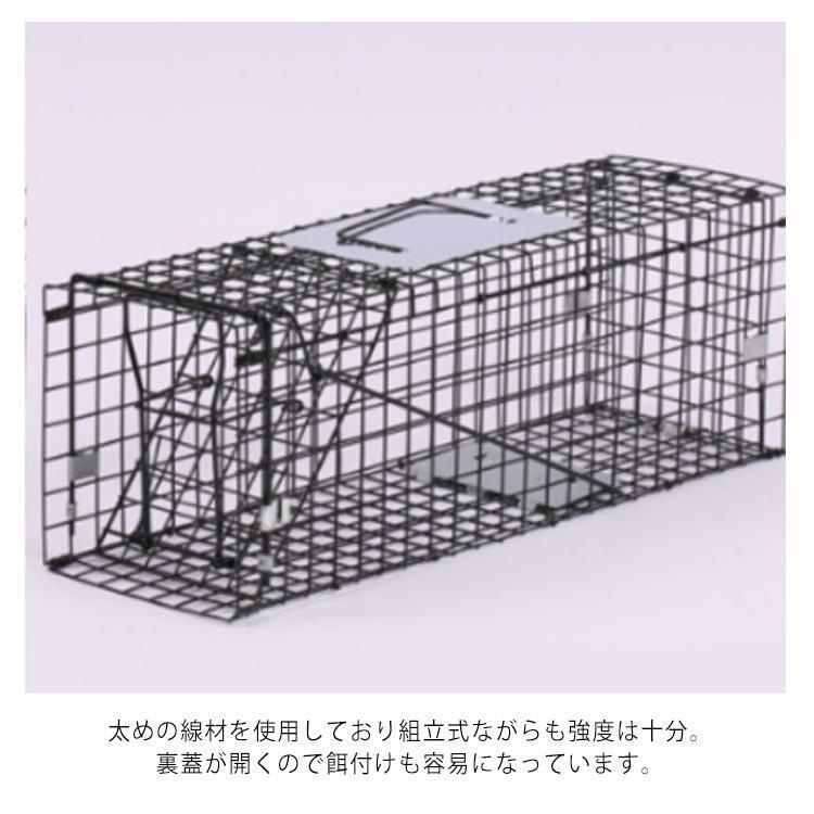アニマルトラップ