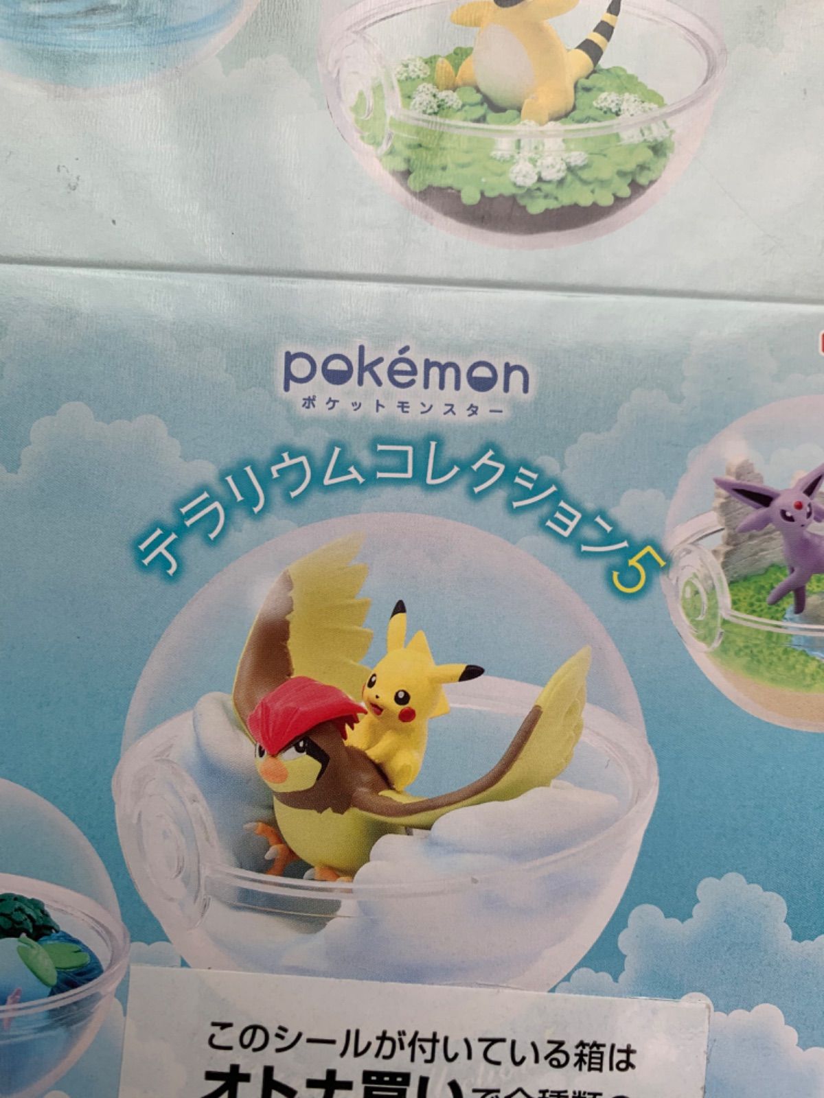 ポケモン テラリウムコレクション5 全6種フルコンプ 未開封新品