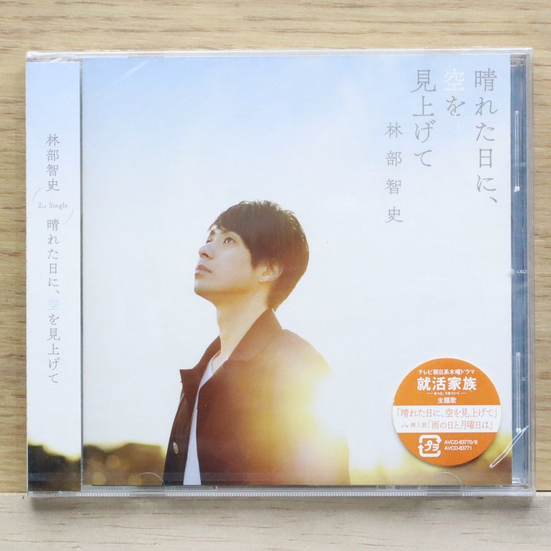 国内盤CD☆林部智史/satoshi hayashibe□ 晴れた日に、空を