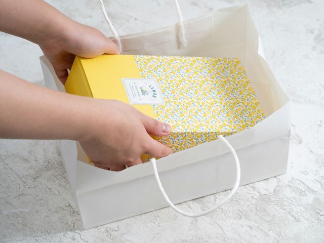 片ツヤ晒手提袋 175 マチ広 小 50枚 SKLAD-KIRPICHA_RU