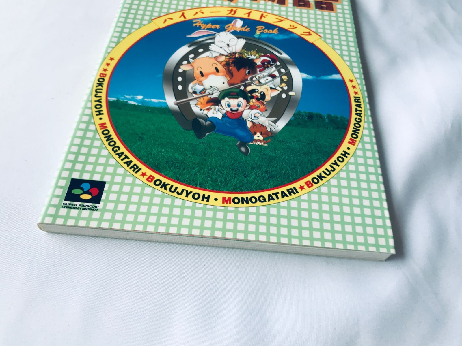 最終値下 月夜の阿呆鳥：Moon Side story ムーンオフィシャルブック