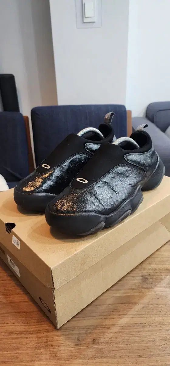 【雷市場（ポンジャン）商品韓国直送】 OAKLEY(オークリー) ファクトリー チーム x BRAIN DEAD(ブレイン デッド) プレッシー 黒 ダチョウ 270