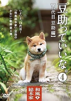 ルリドラゴン ジャンプフェスタ2025 複製ミニ色紙 応募者全員サービス