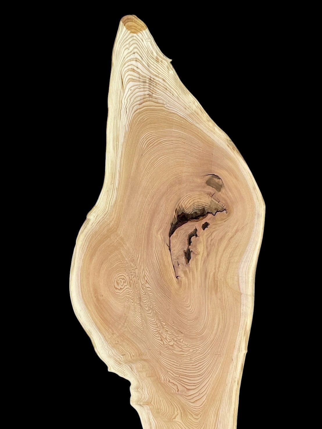 ◆全国都道府県