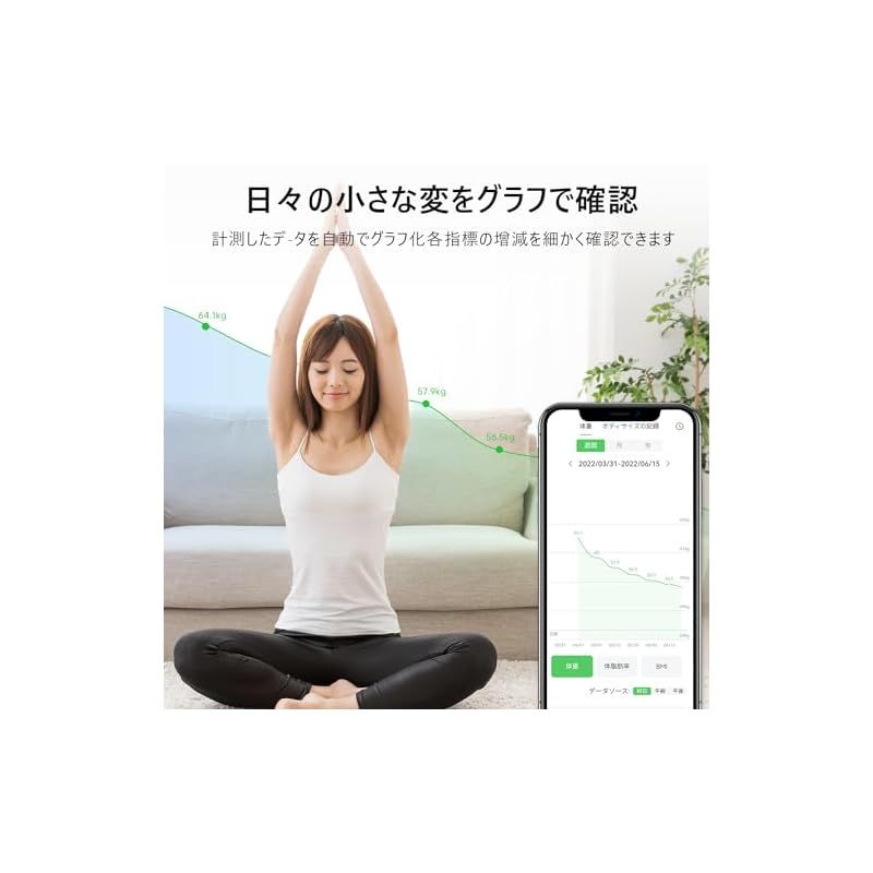 ヘルスメーター