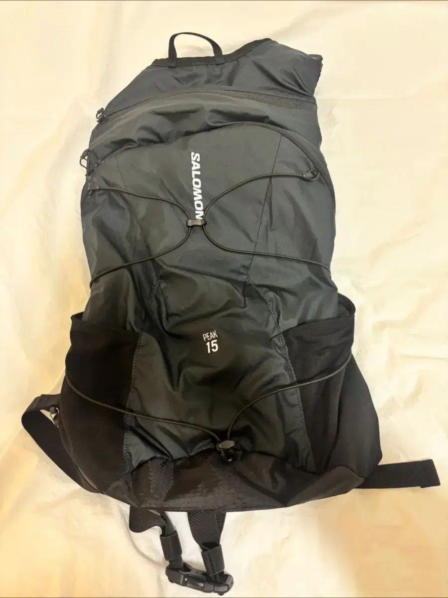 Salomon サロモン ブラック バックパック パーテックス peak 15 ピーク xt10