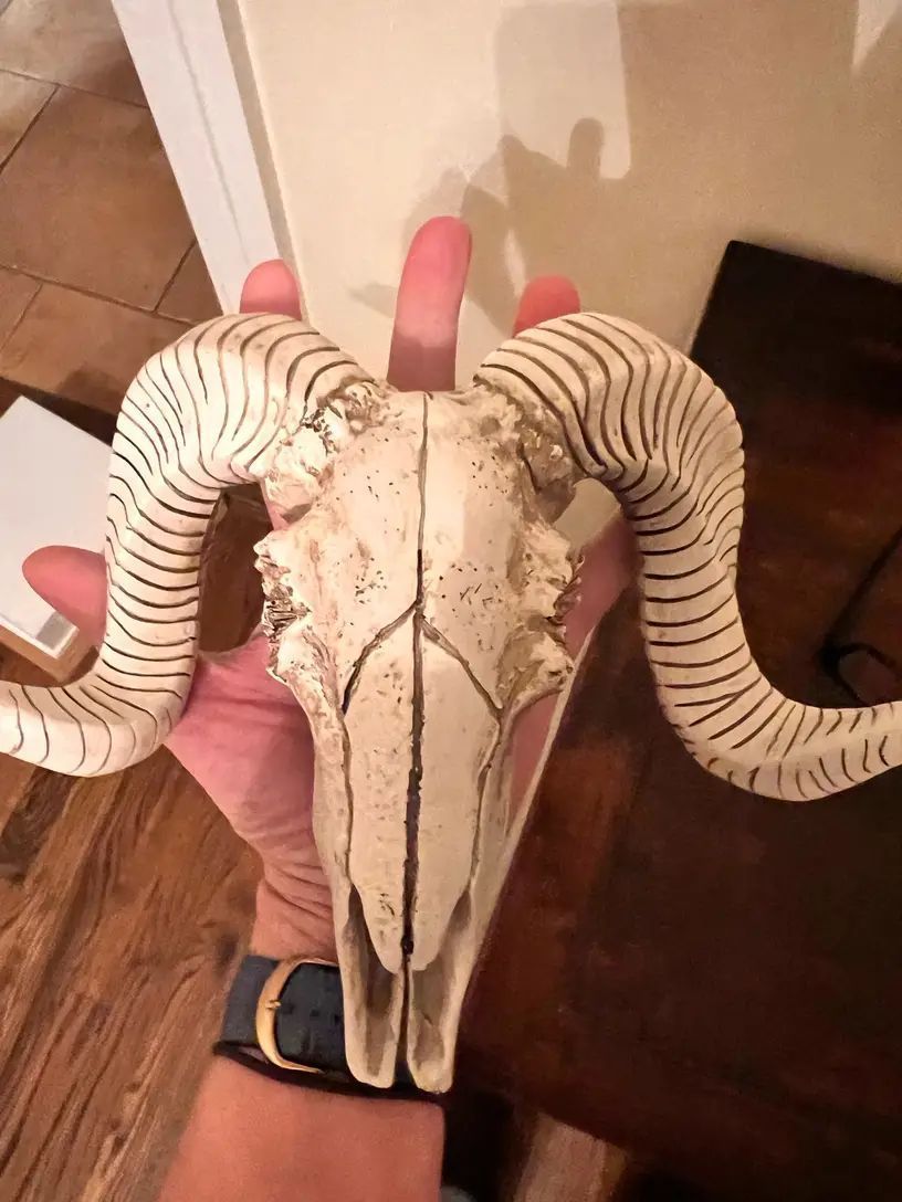 ハンティングトロフィー オブジェ 壁掛けインテリア 動物の頭 羊の頭