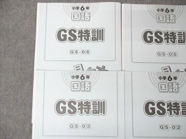 US04-024 SAPIX 小6年 サピックス 国語 GS特訓 GS-01~06 テスト6回分