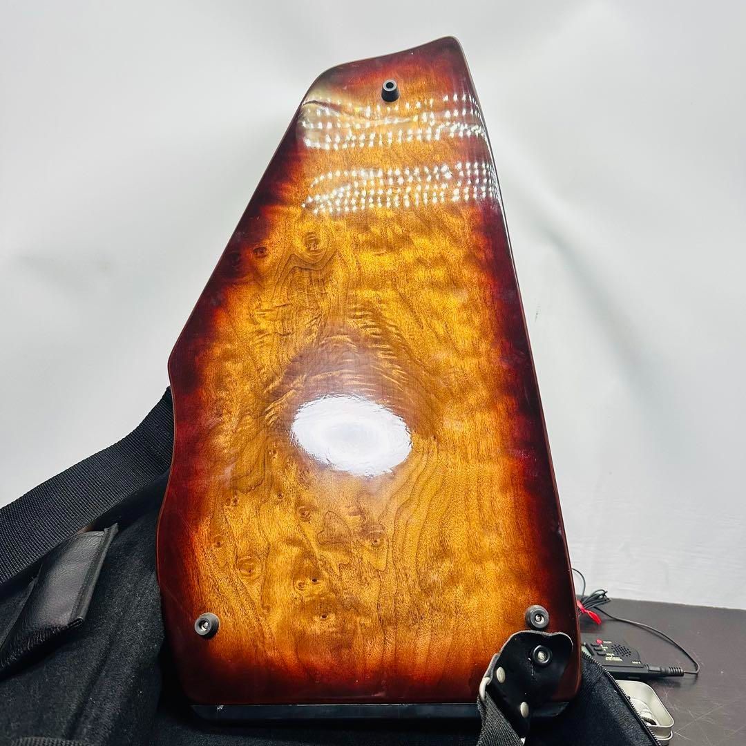 ハードケース付き