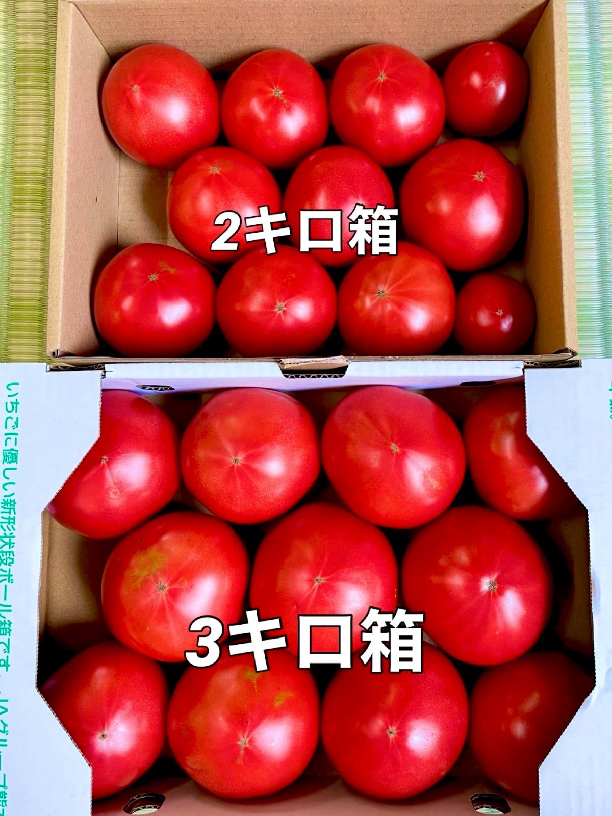 完熟桃太郎ファイトトマト❣️甘くてやみつきになる美味さ❣️80サイズ❣️クール便発送❣️