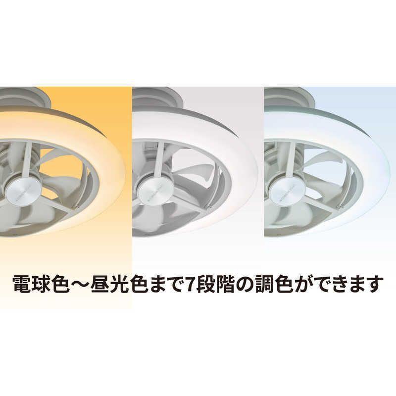コジマ_