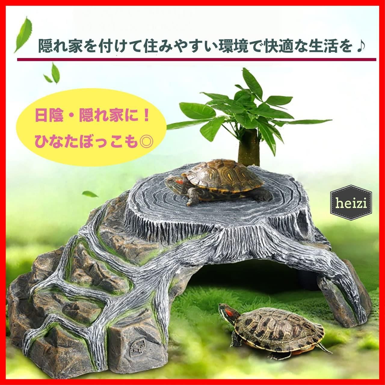陸地