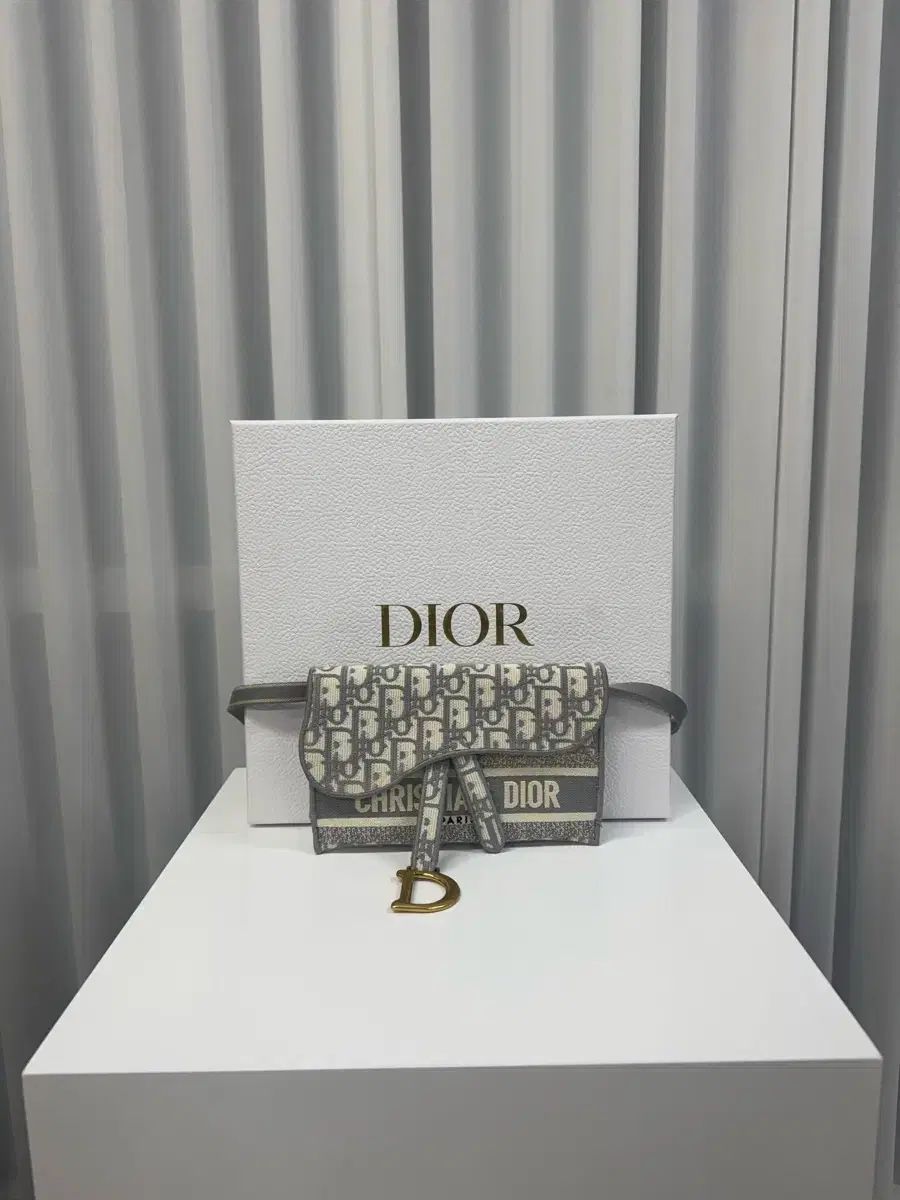 Dior ディオール サドルバッグ スリム ポーチ ベルトバッグ ショルダーバッグ 兼 クロスバッグ