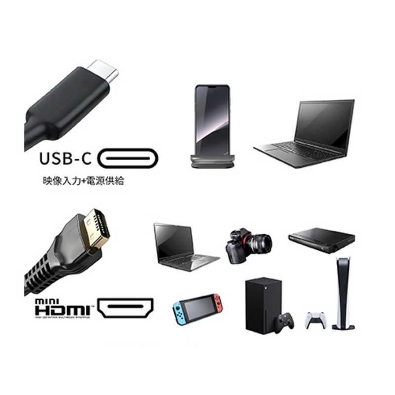 JAPANNEXT 17.3インチ IPSパネル搭載 4K(3840x2160)解像度 モバイル モバイルモニター : フルHD(1920x1080)解像度 JN-MD 4K(3840x2160 フルHD タッチパネル搭載 IPS パネル フルHD(1920x1080