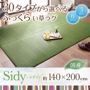 ラグマット 140×200cm Sidy グレー 30タイプから選べる国産ふっくらい草ラグ Sidy シディ 代引不可