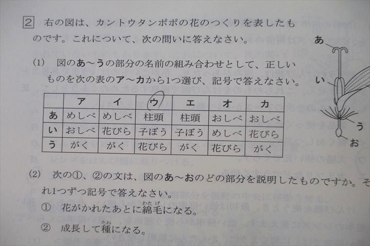 UT25-092 馬渕教室 小5 2021年度 第1〜6回 馬渕公開模試 国語/算数