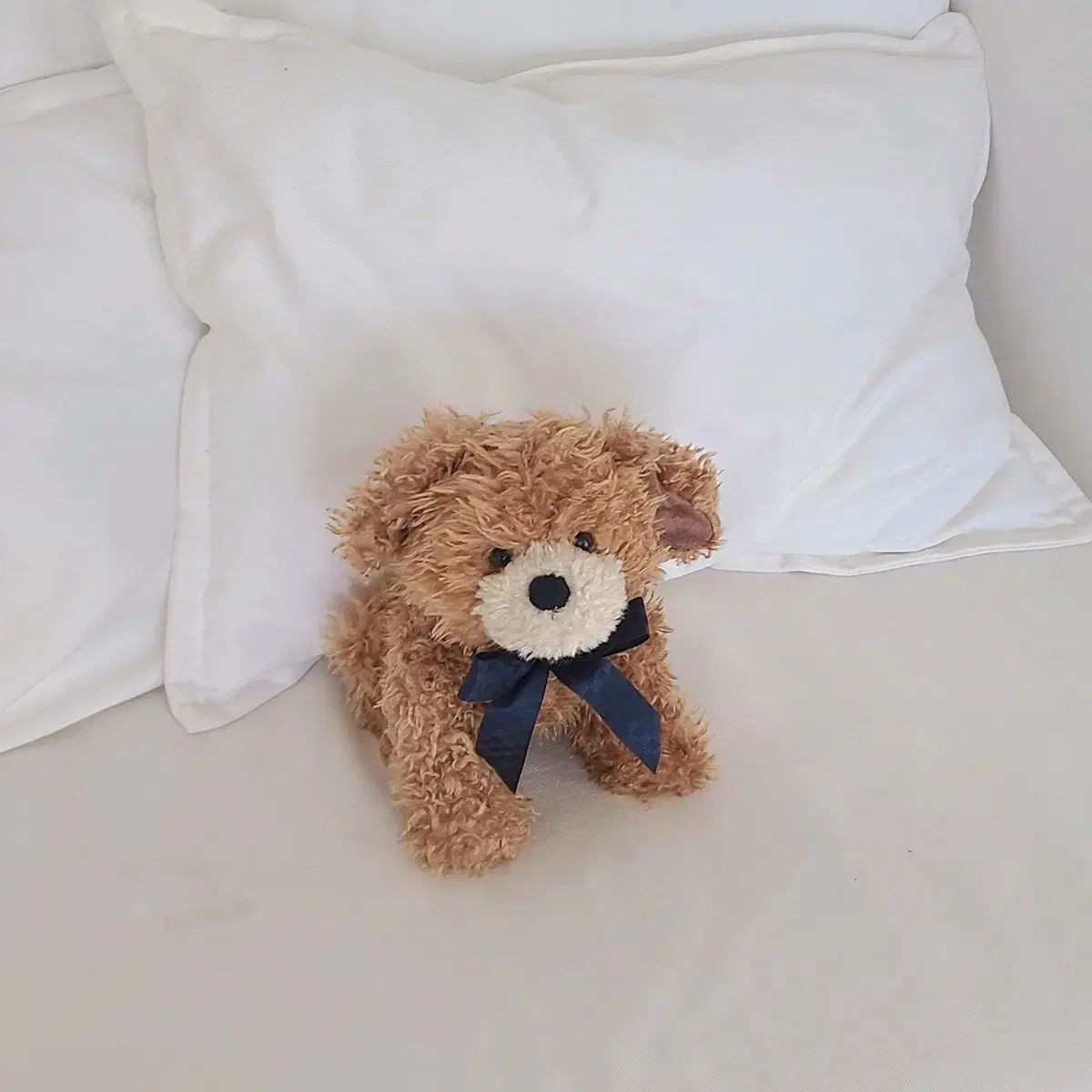 ボーイズベア ヴィンテージ リボン ワンちゃん 人形 レトロ テディベア