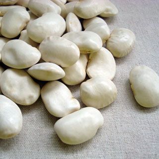 白花豆 400g 2024年産 令和6年産 北海道産 店舗発送 - メルカリ