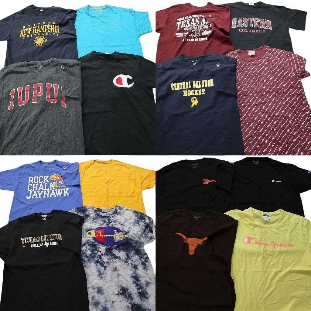 古着卸 チャンピオン 半袖Tシャツ 16枚セット メンズ L カレッジ風 ワンポイント チームロゴ タイダイ柄 古着 NA1526