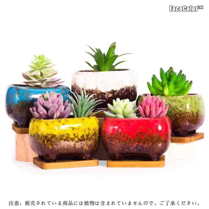盆栽鉢　時代ミニ盆栽鉢美芸陣笠瑠璃釉薬蕎麦釉山野草サボテン多肉植物植木鉢 楽天市場】（山野草）苔盆栽 おまかせ山野草・鉱石 益子焼植え