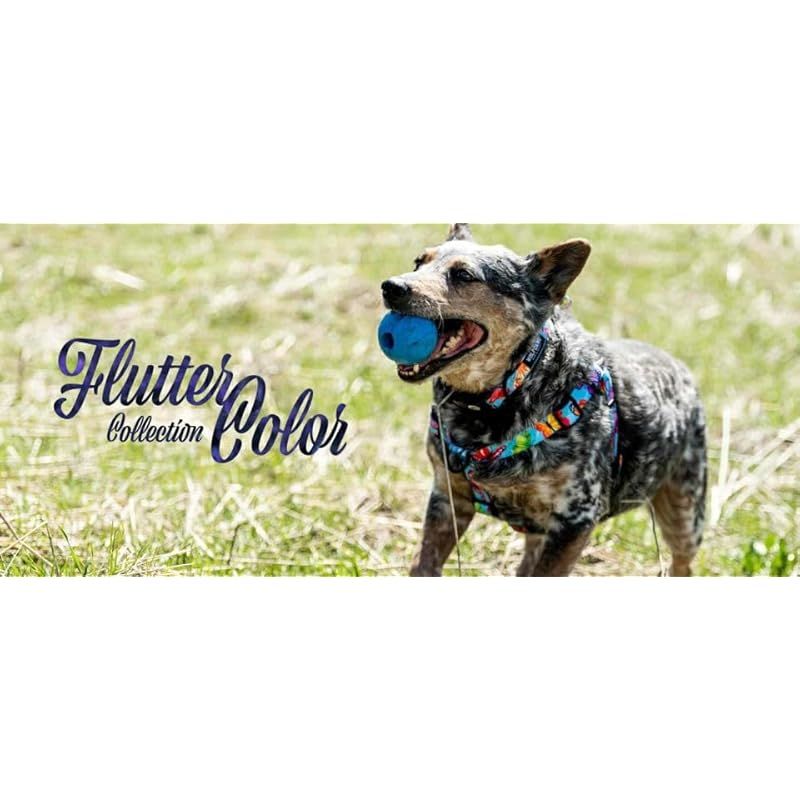 FlutterColor Harness