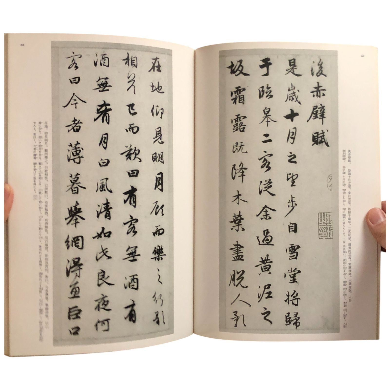 中国法書選49 懋孟?集 元 大野修作/福本雅一/中川憲一 二玄社