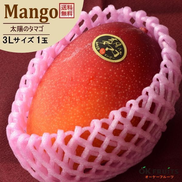 母の日 プレゼント プチカーネーション＆健康茶付き サプライズ ギフト マンゴー 太陽のタマゴ 特大玉 3Lサイズ×1玉入 化粧箱入り 贈り物 宮崎県産 太陽のタマゴ3L 特大玉 1玉