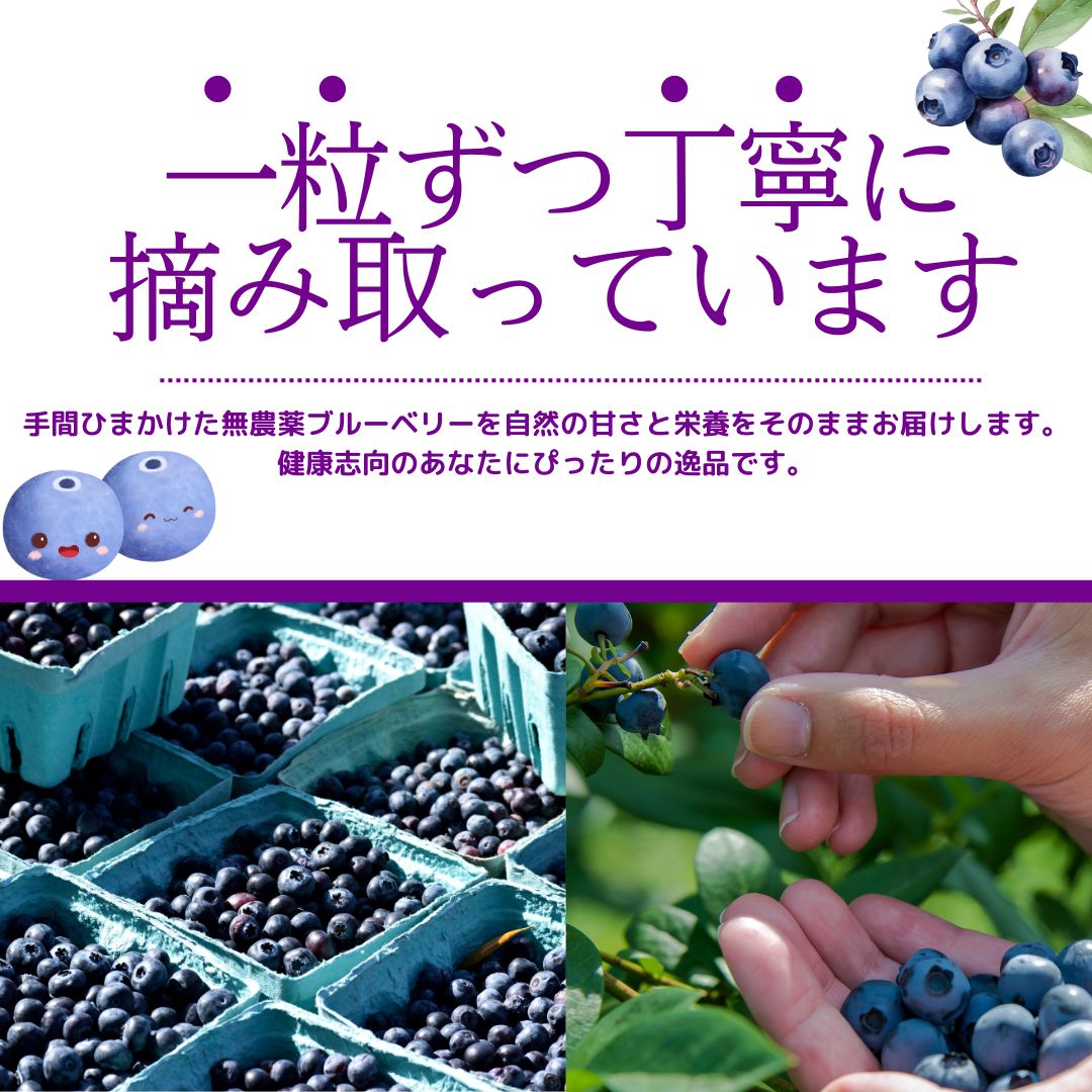 ☆令和7年 生ブルーベリー☆農薬不使用 3きえ シンシン 千葉県産】農薬不使用 生ブルーベリー500g - メルカリ