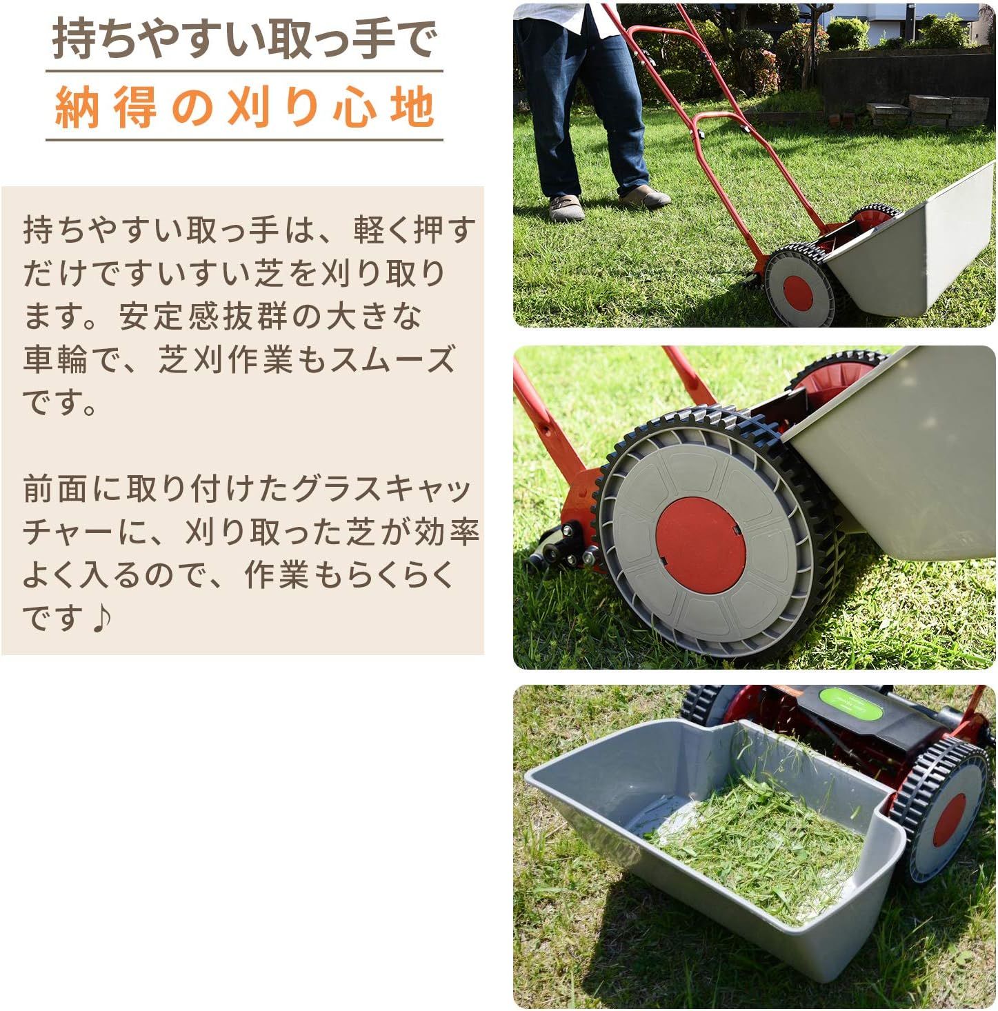 雑草 除草