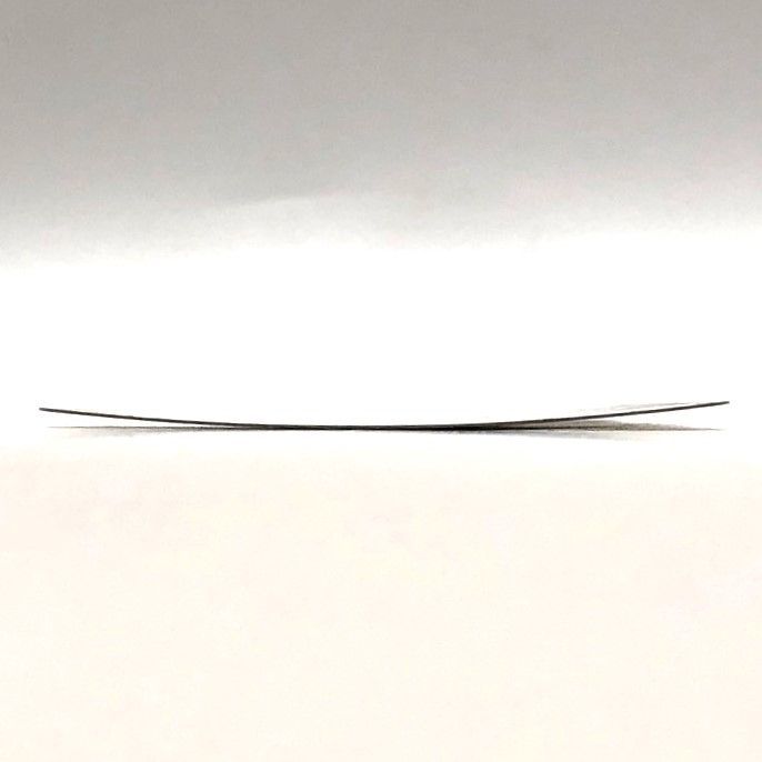 メガリザードンX