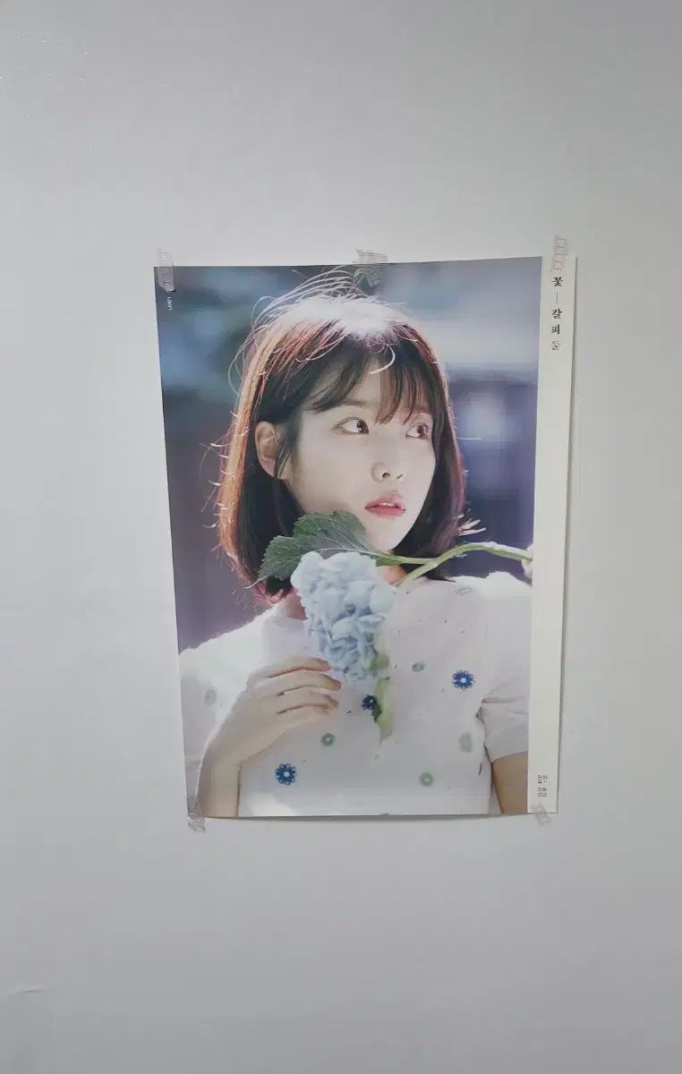 IU(アイユ) 花しおり ポスター - メルカリ
