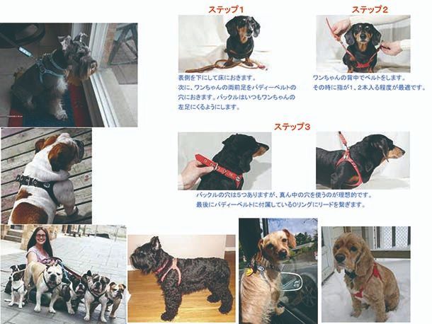 獣医師推奨 BBハーネス バディーベルト 3号 ペット 犬 レザー 本革 用 BUDDY BELT BUDDYBELT犬 犬用 ペット ドッグ  バディベルト正規輸入代理店 正規店 - メルカリ