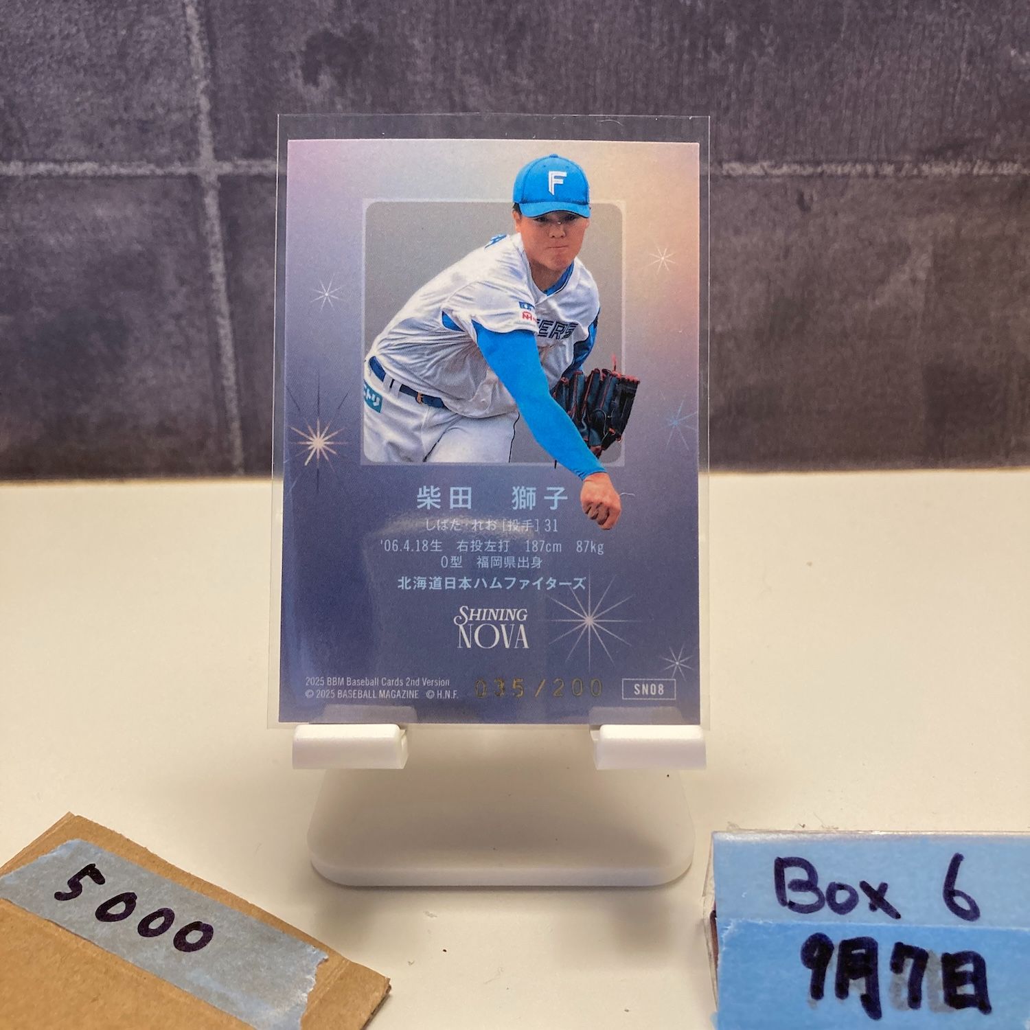 2025 BBM 2nd Version 柴田獅子 035/200 金箔サイン 北海道日本