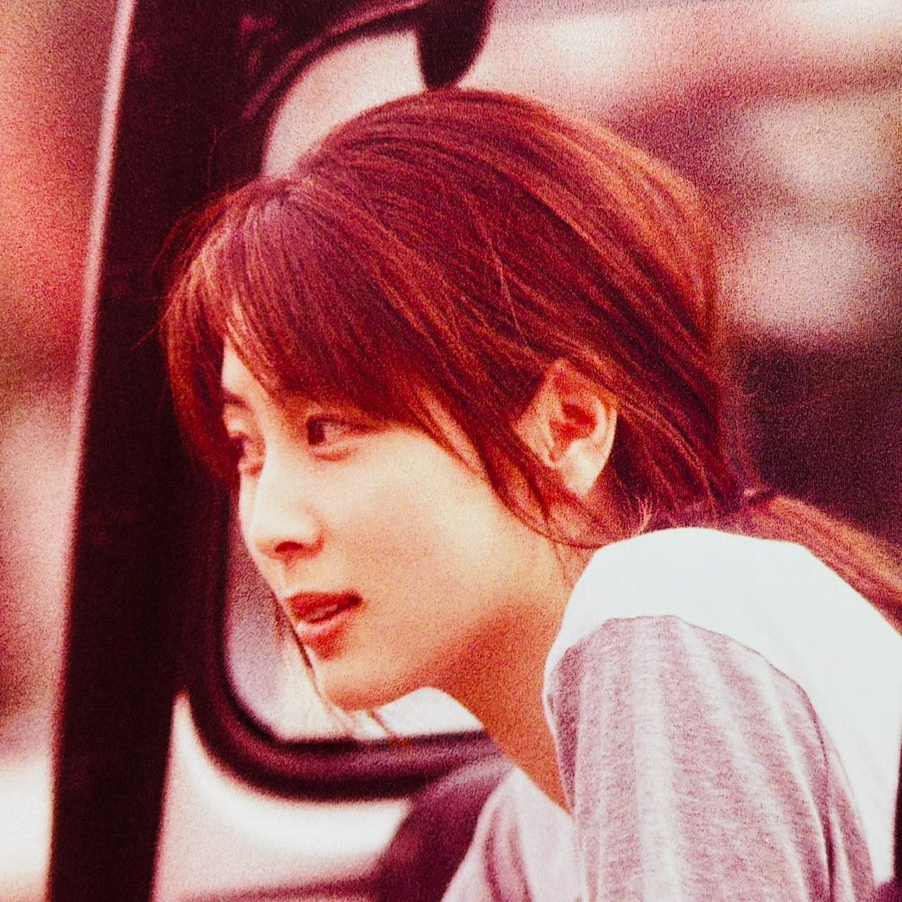 ZARD What a beautiful memory forever you パンフレット 本 / 坂井