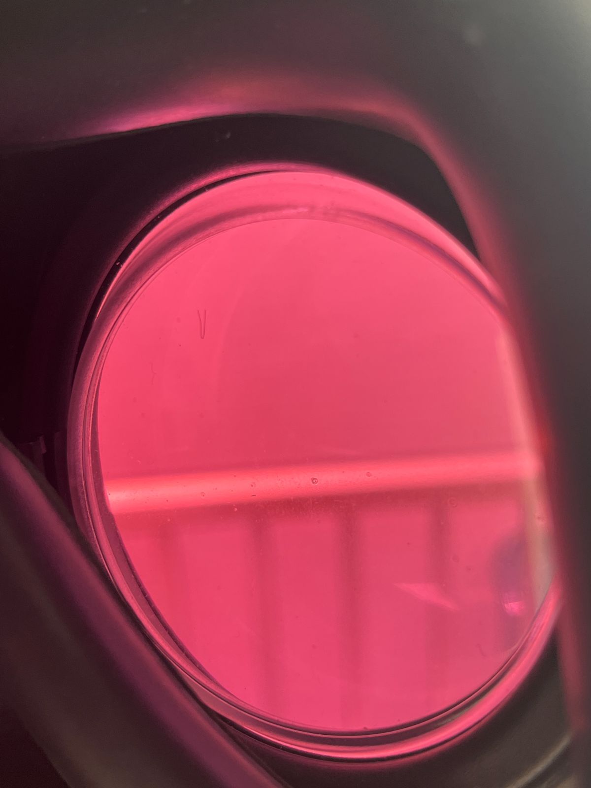 イギリス軍FM12ガスマスク用レンズ レッドミラーフィルム ABS外付け