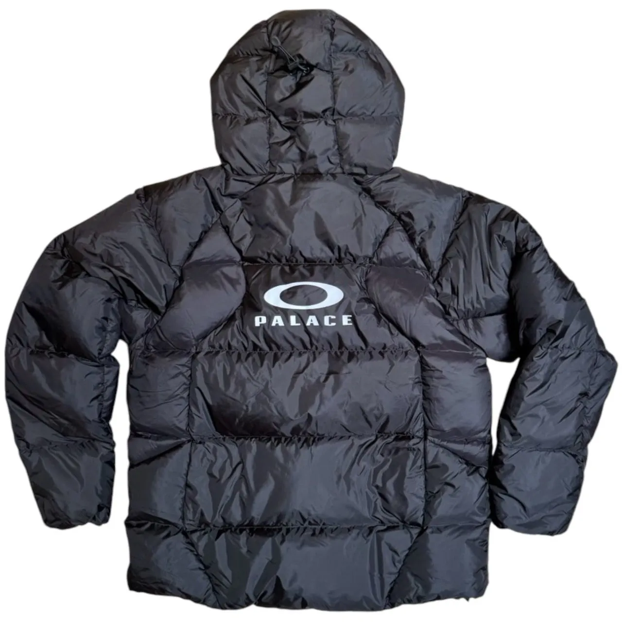 MedusaBoyさま専用PALACE x OAKLEY スノウ ジャケット　M MedusaBoyさま専用PALACE x OAKLEY スノウ ジャケット M - メルカリ