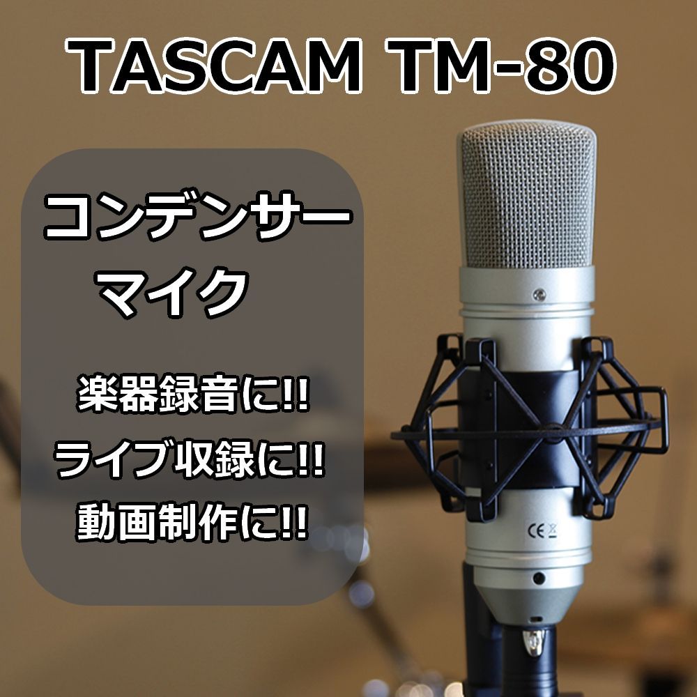 tascam tm-80 コンデンサーマイク - 配信機器・PA機器・レコーディング機器