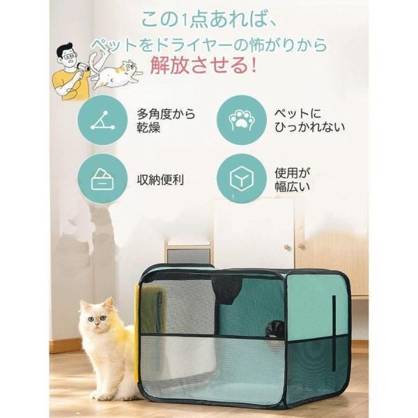犬